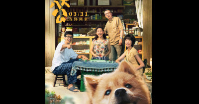 ﻿Sinopsis Film Hachiko (2023): Kisah Anjing Setia