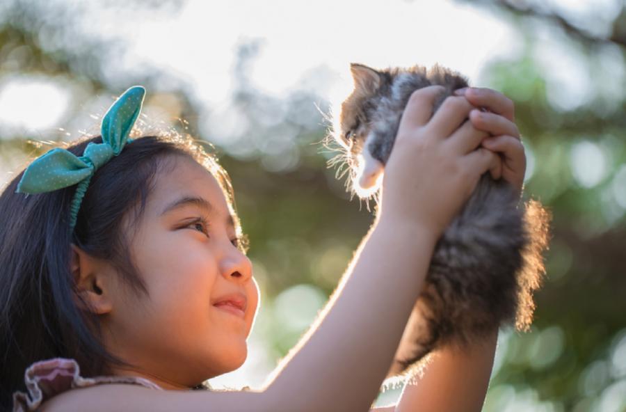 Inilah 8 Manfaat Memelihara Hewan Bagi Anak