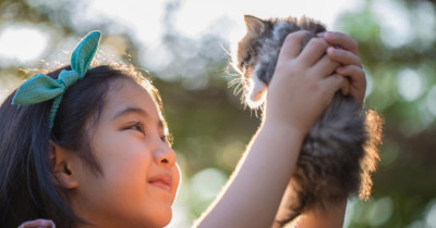 Inilah 8 Manfaat Memelihara Hewan Bagi Anak