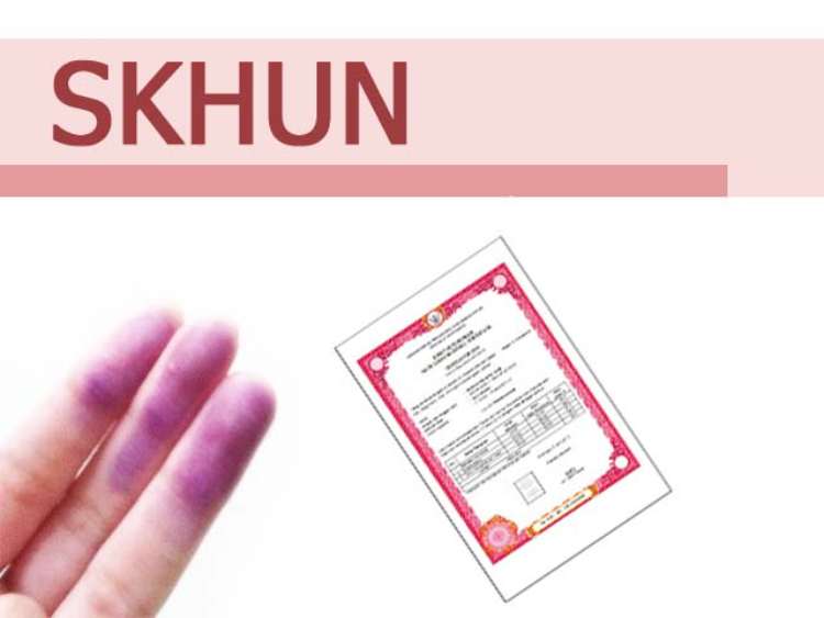 SKHUN SD: Pengertian, Format, Cara Membacanya Lengkap