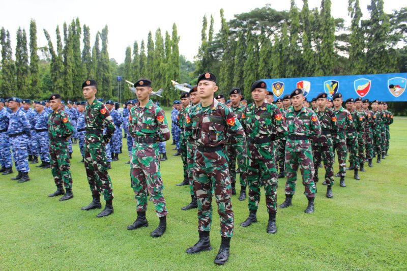 Kenapa Gaji TNI Kecil? Apa ya penyebabnya?