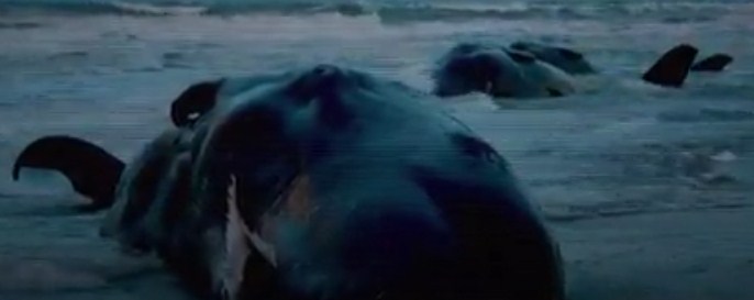 Sinopsis Film Seaspiracy (2021): Kehidupan Laut yang Dicemari Manusia lewat Sampah Plastik