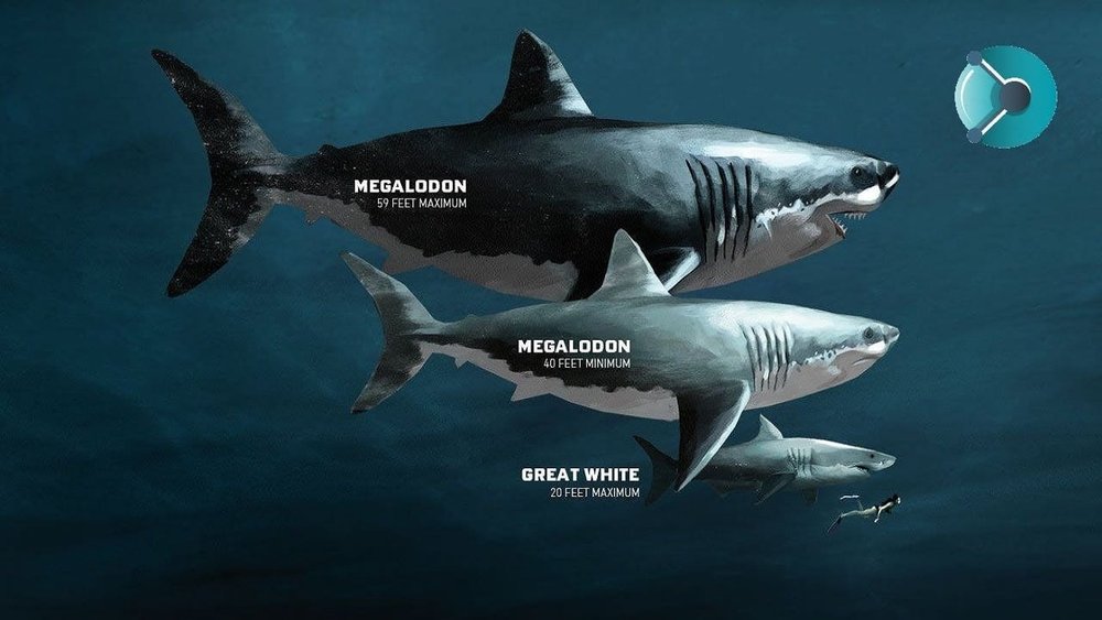 Sinopsis Film The Meg 2: The Trench (2023): Film Megalodon Terbaik