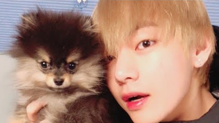 Foto Yeontan dan Member BTS yang Bisa Bikin ARMY Meleleh saking Menggemaskannya