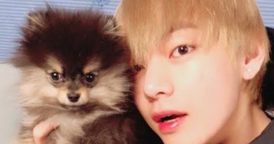 Foto Yeontan dan Member BTS yang Bisa Bikin ARMY Meleleh saking Menggemaskannya