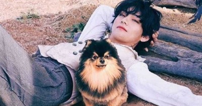 Arti Yeontan bagi BTS, Anggota Kedelapan BangTan Boys yang Dipelihara Taehyung