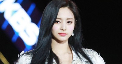 63 Fakta Tzuyu TWICE, Member Tercantik hingga Orangtua Kaya Raya