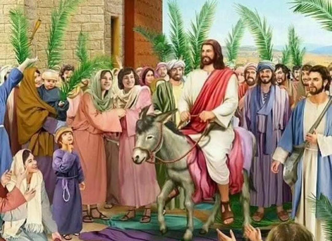 40 Ucapan Selamat Hari Minggu Palma Terbaru untuk Umat Kristiani