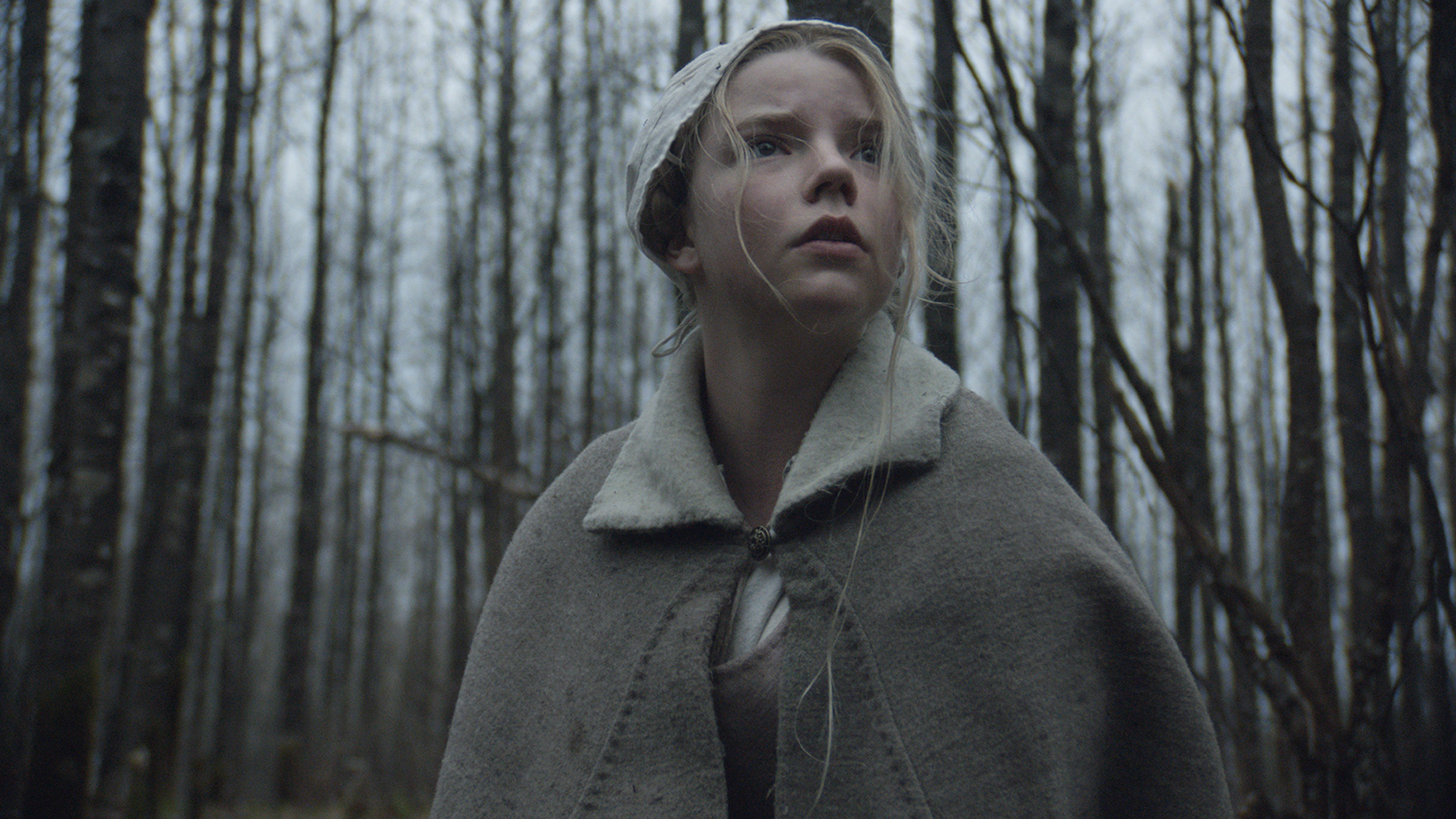 ﻿Review Film The Witch (2015): Teror Satu Keluarga di Desa