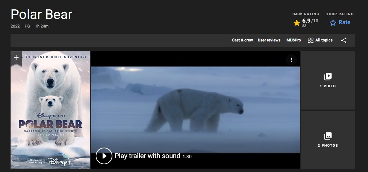 Sinopsis Film Polar Bear (2022): Dokumentasi kehidupan beruang putih