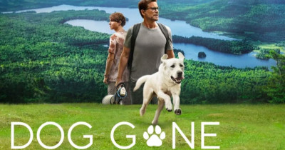 Sinopsis Film Dog Gone (2023): Kisah Nyata Pencairan Anak